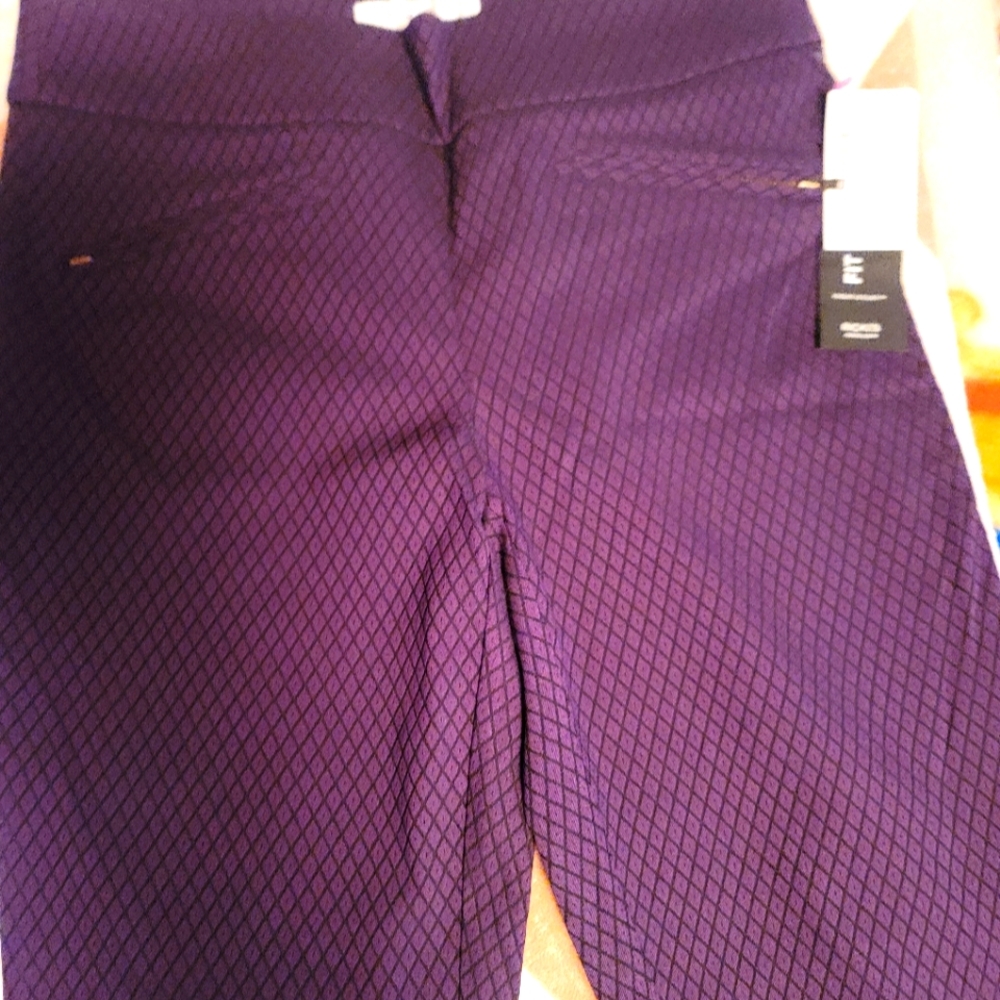 Beautiful,  a must-see. Purple pants with a thin line of black. Fake pockets...